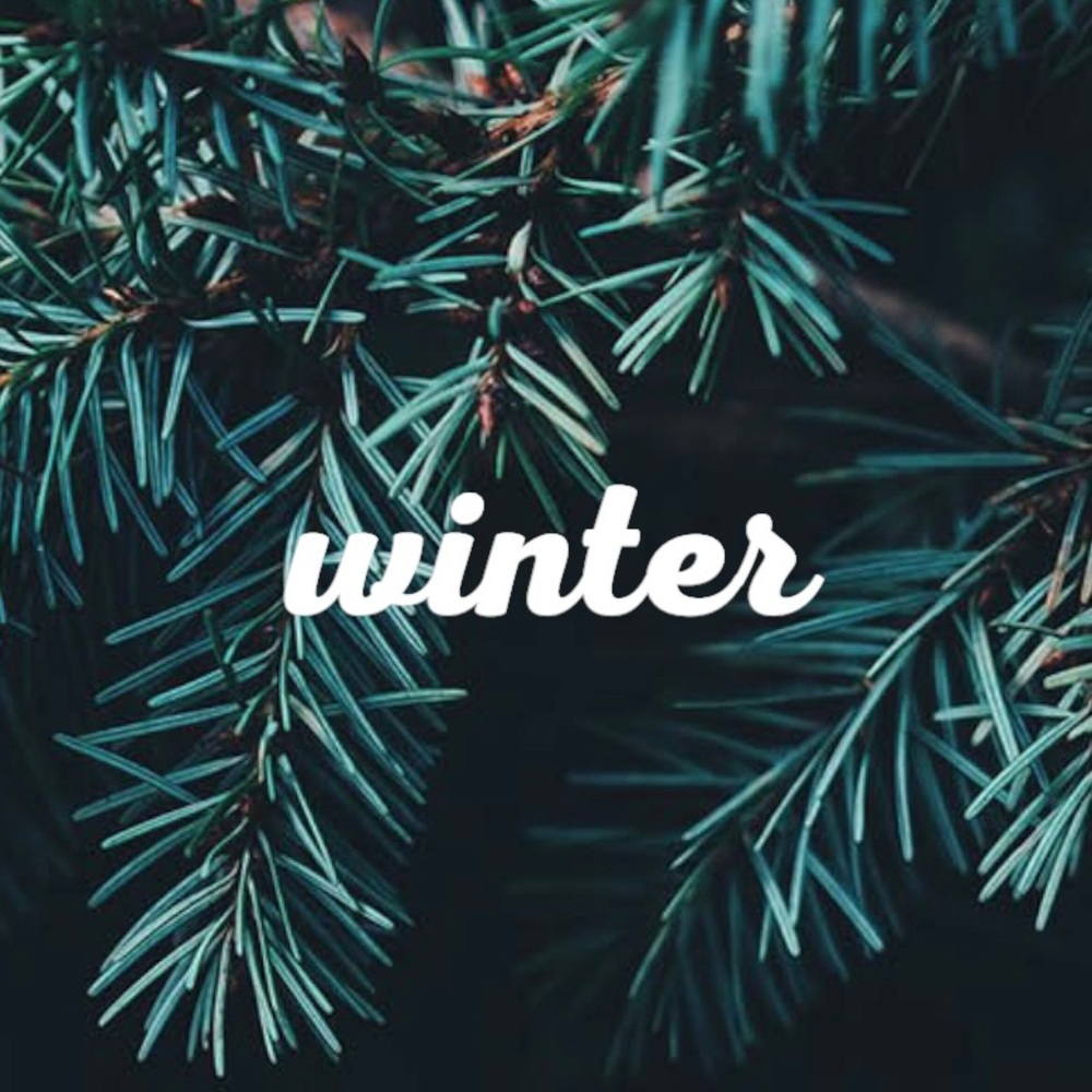 Winter Essentials 🌲